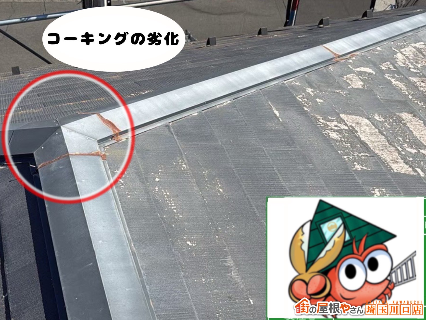 ルーフィングの劣化